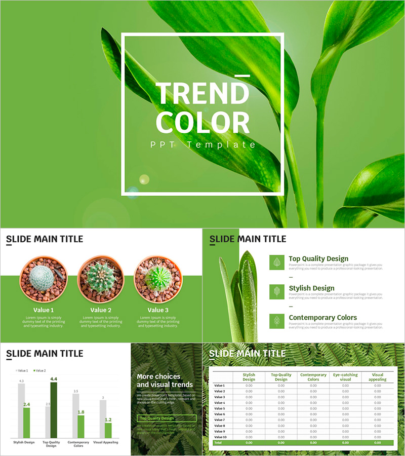 트렌드 컬러 와이드 PPT 템플릿 – 현대적이고 세련된 디자인