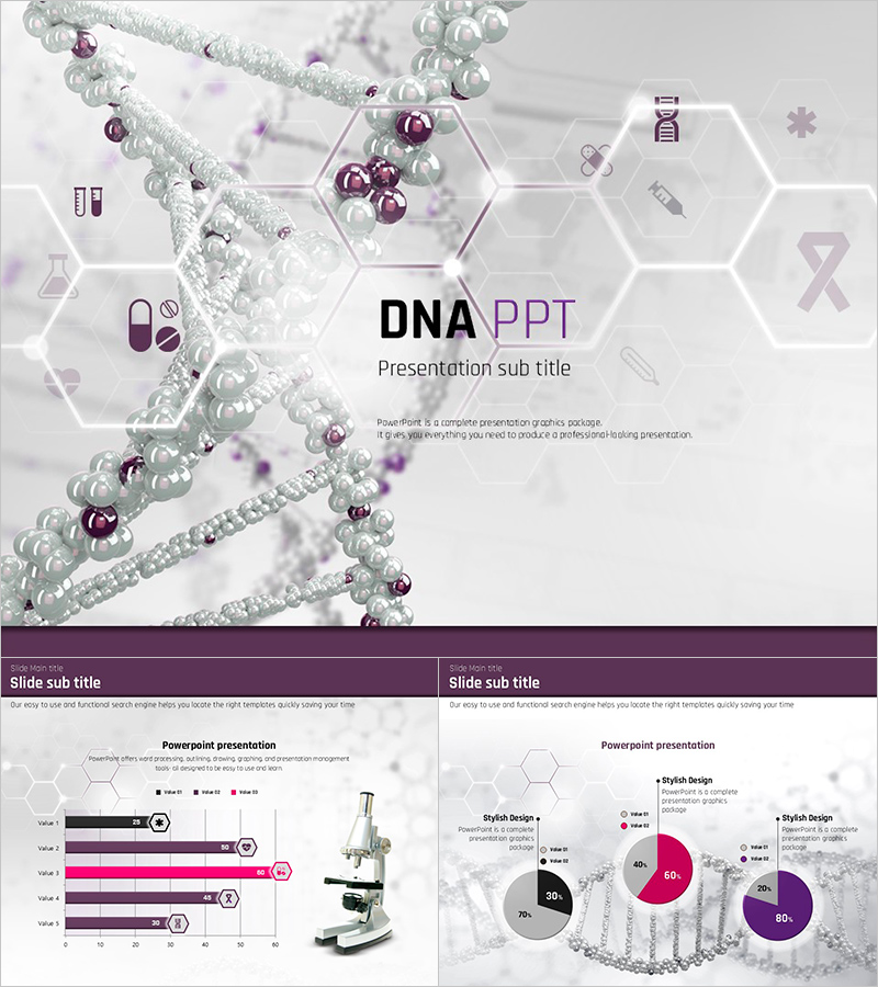DNA 프레젠테이션 템플릿 – 과학적이고 세련된 디자인