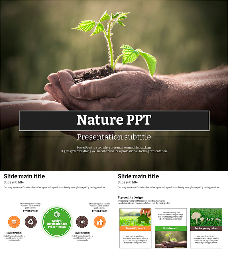 자연 프레젠테이션 템플릿 – 심플하고 생동감 있는 디자인