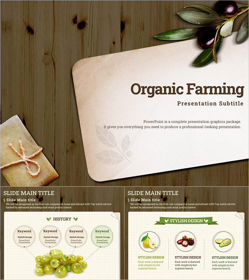 오가닉 프레젠테이션 – 자연과의 조화를 디자인하다