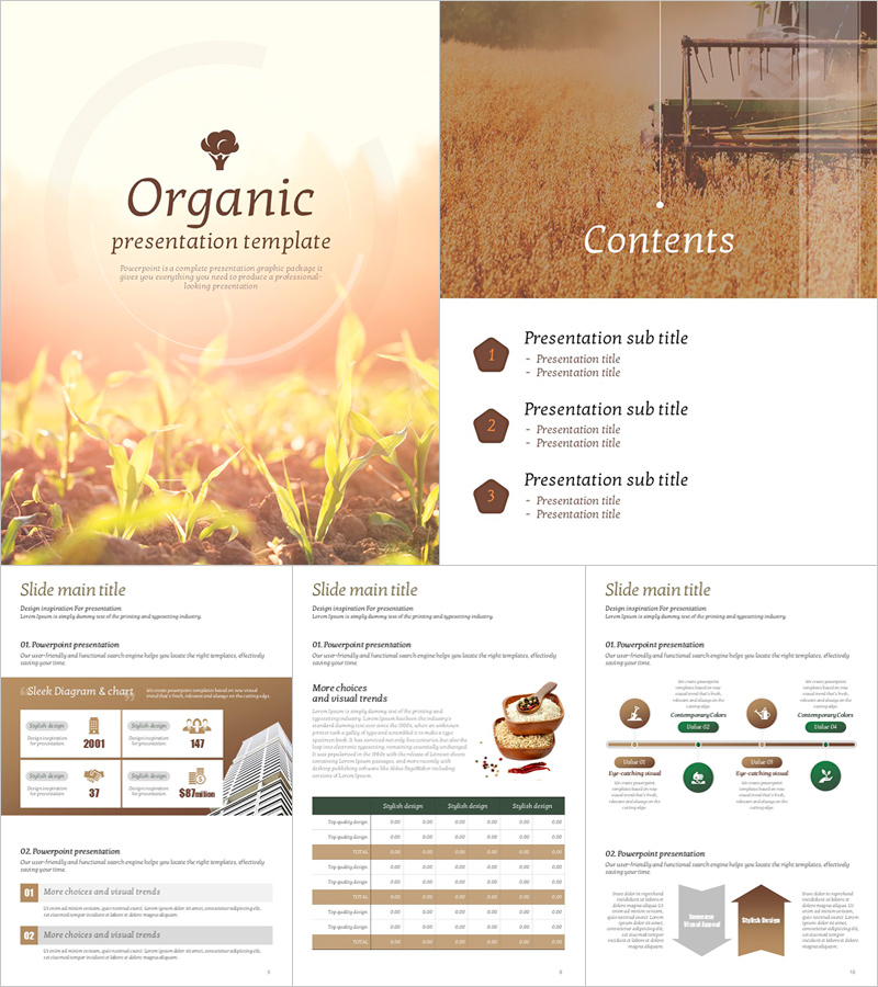 유기농 세로형 프레젠테이션 템플릿 – 자연을 담은 따뜻한 디자인