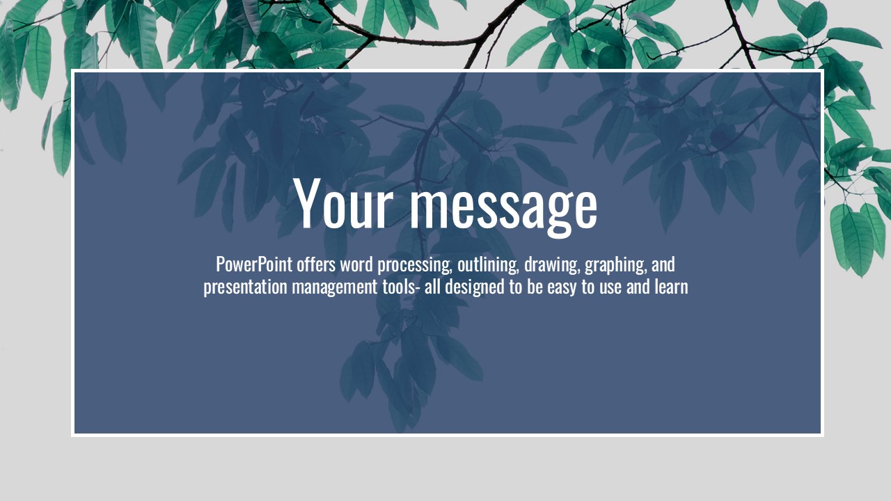 슬라이드 미리보기