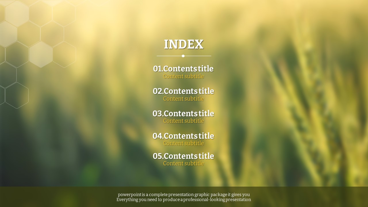 슬라이드 미리보기