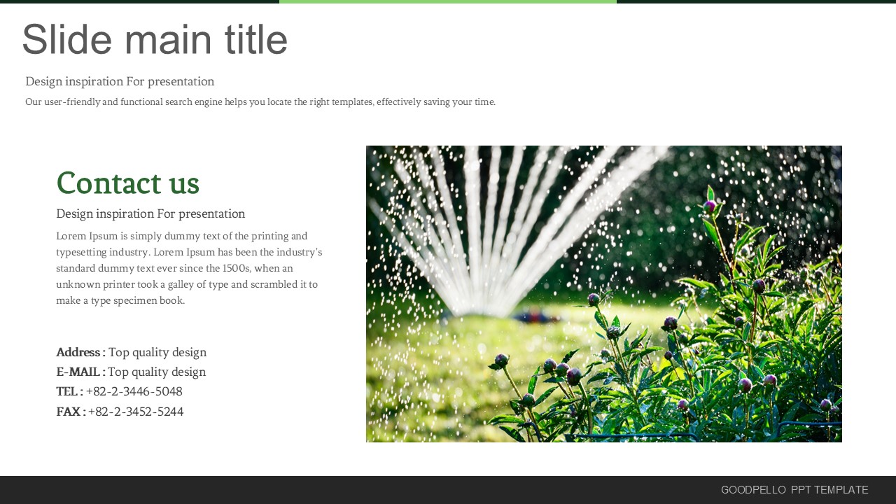 Slide Preview