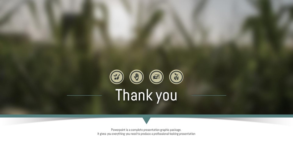 슬라이드 미리보기