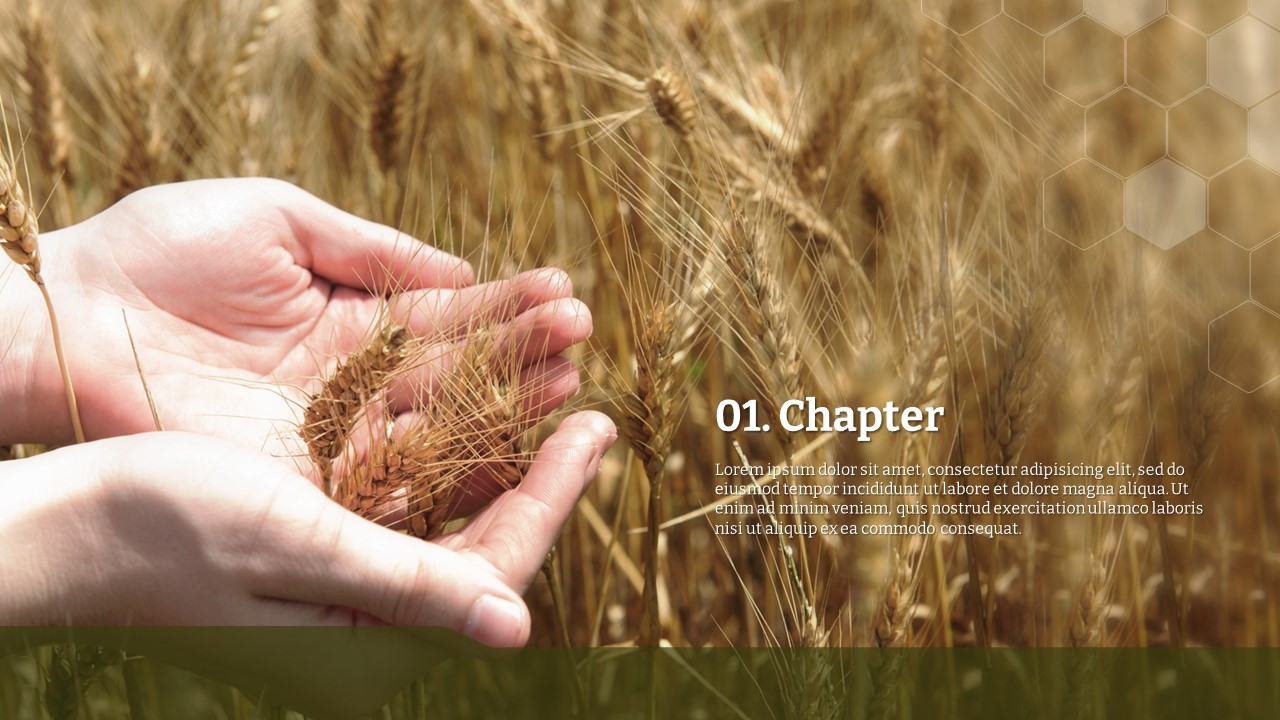 슬라이드 미리보기