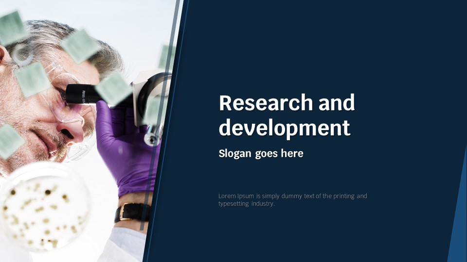 슬라이드 미리보기