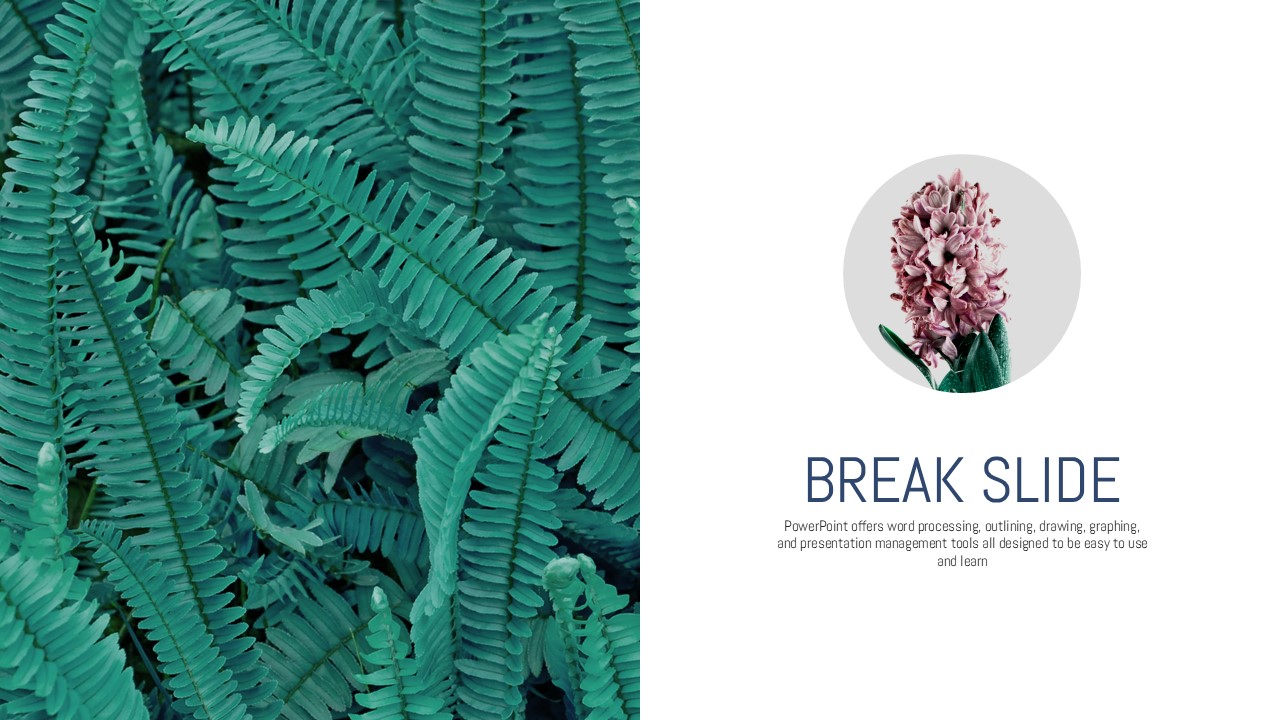 슬라이드 미리보기