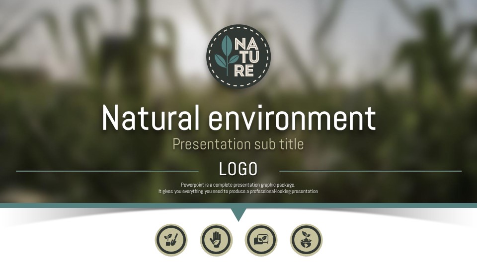 슬라이드 미리보기