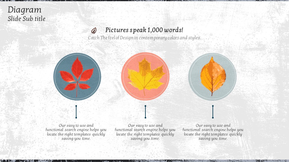 슬라이드 미리보기