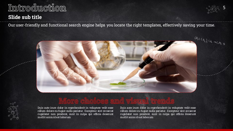 슬라이드 미리보기