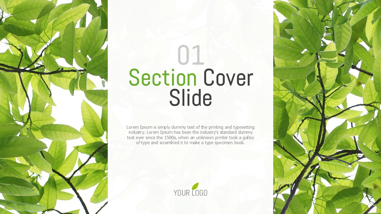 슬라이드 미리보기