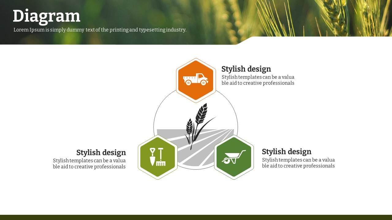슬라이드 미리보기