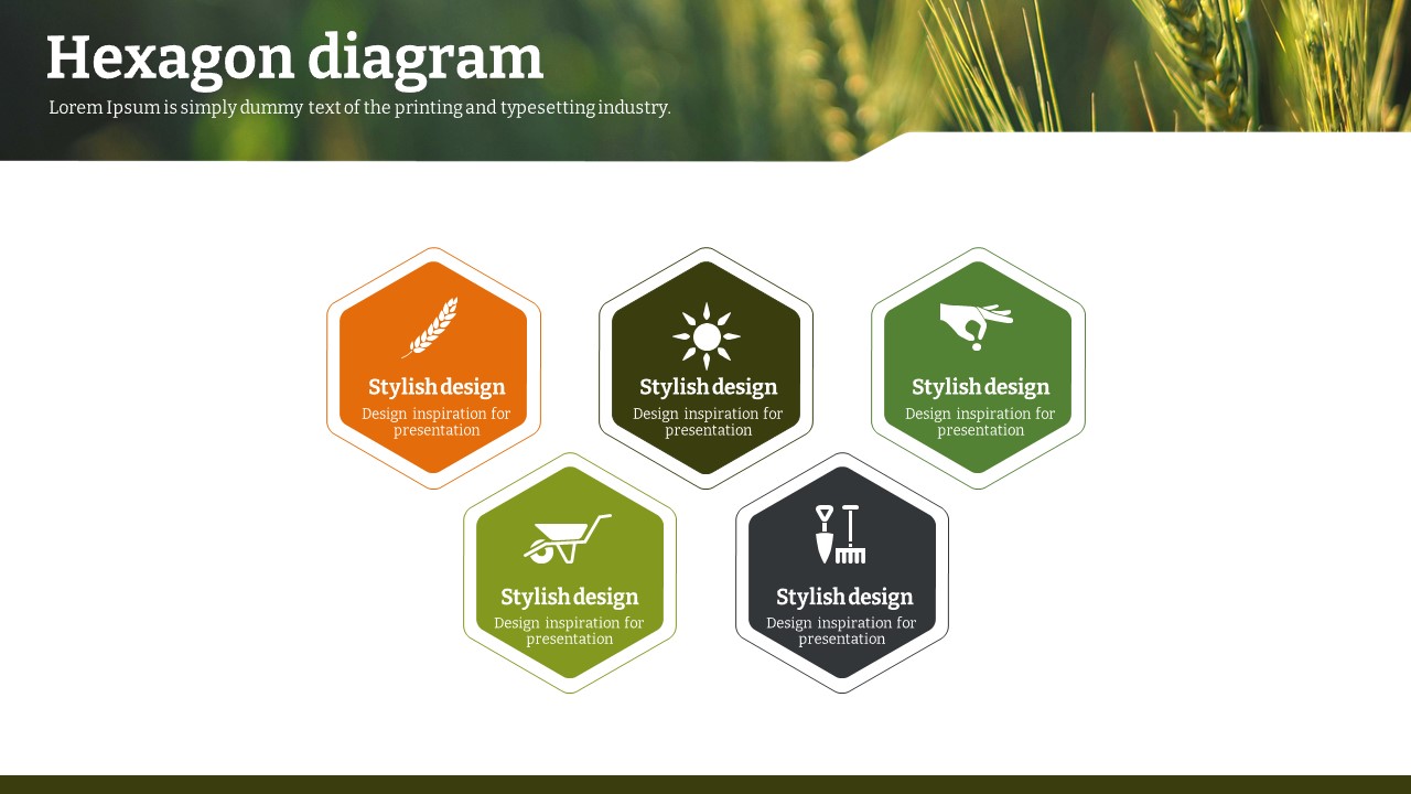 슬라이드 미리보기