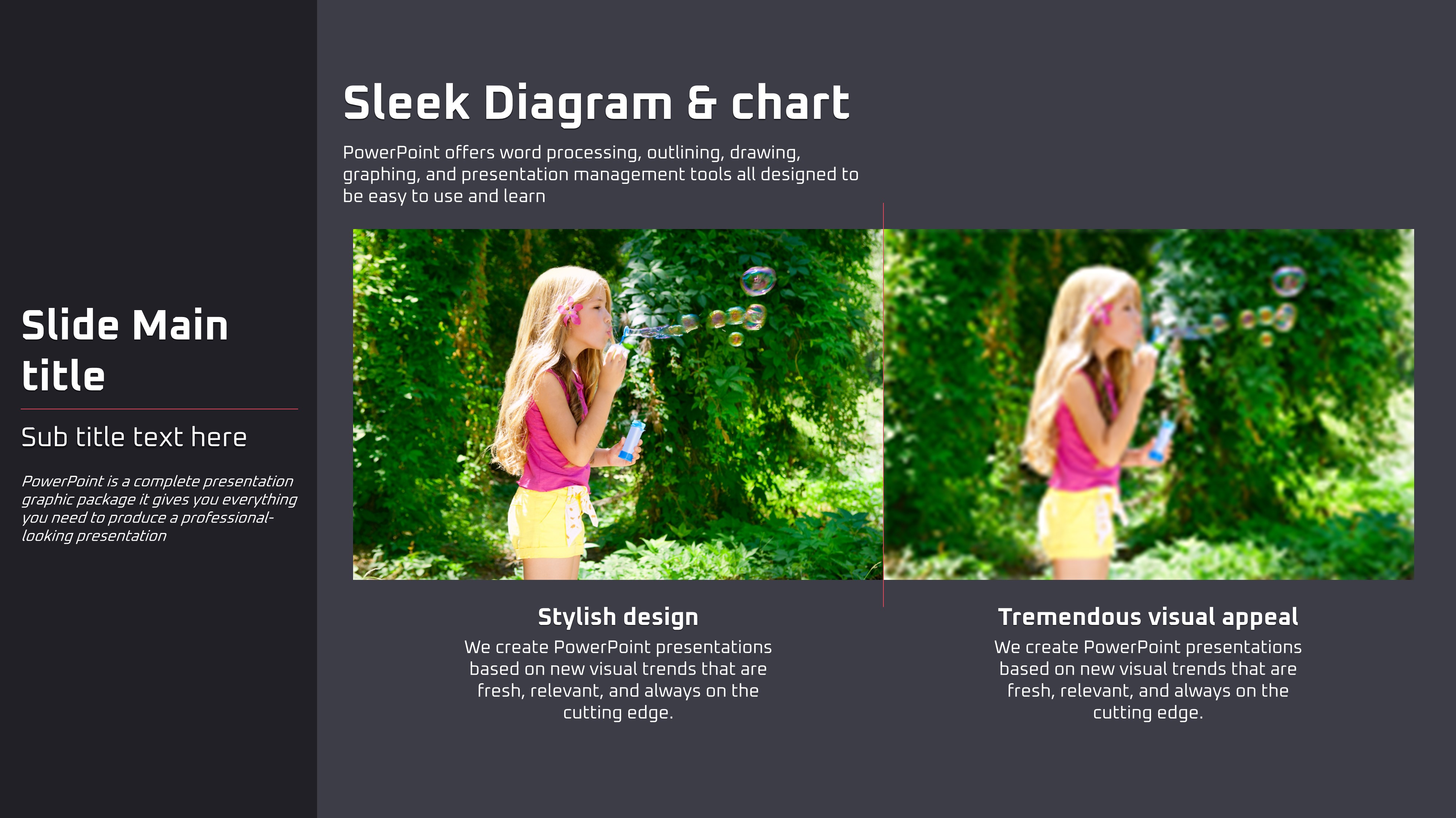 Slide Preview