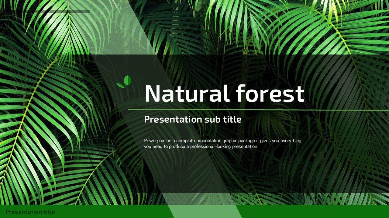 슬라이드 미리보기