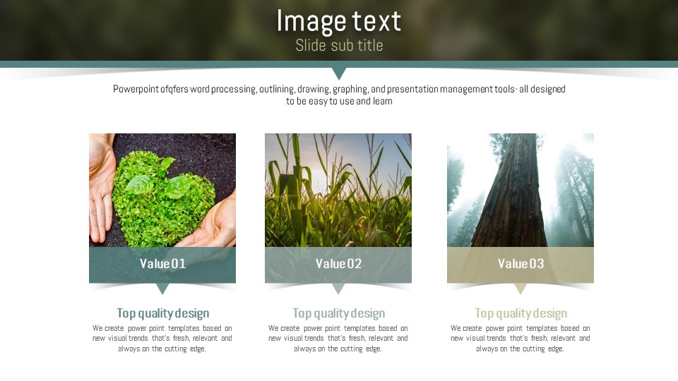 슬라이드 미리보기