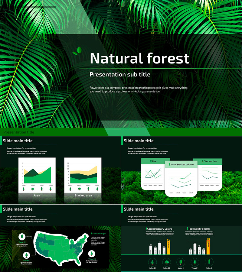 자연 숲 프레젠테이션 템플릿 – 생동감 넘치는 디자인