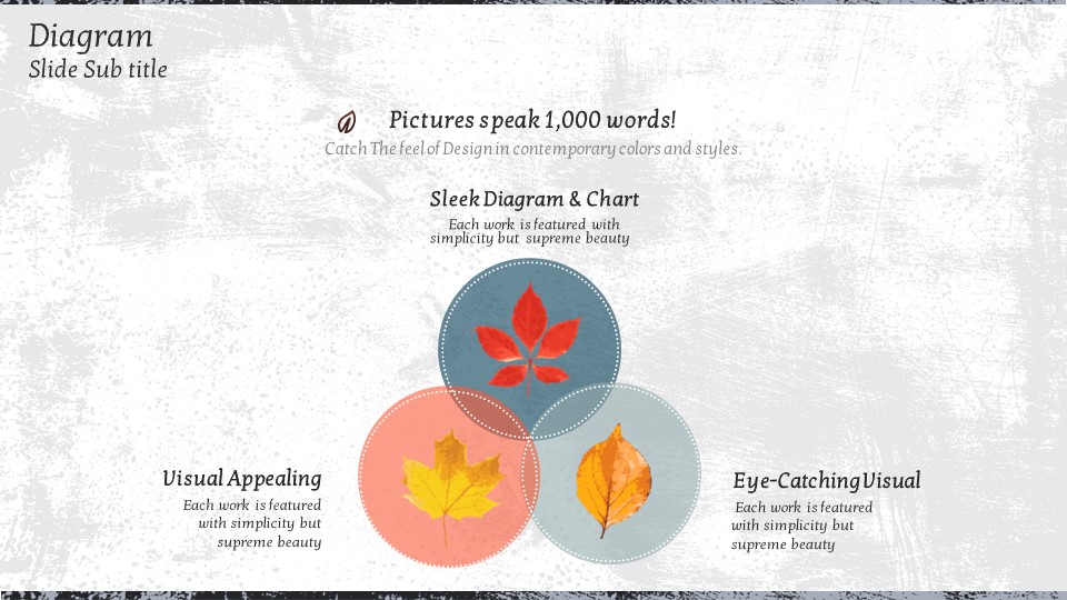 슬라이드 미리보기