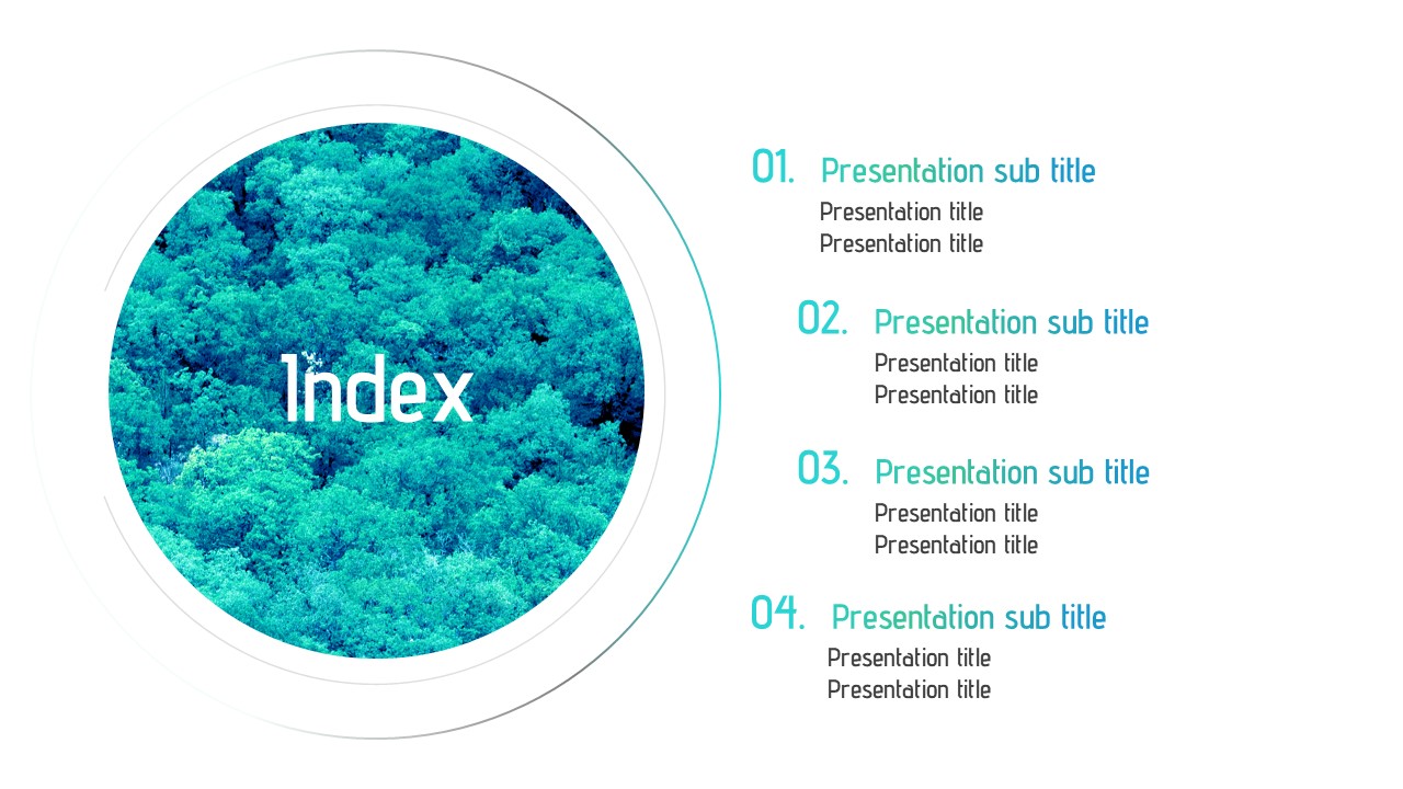Slide Preview