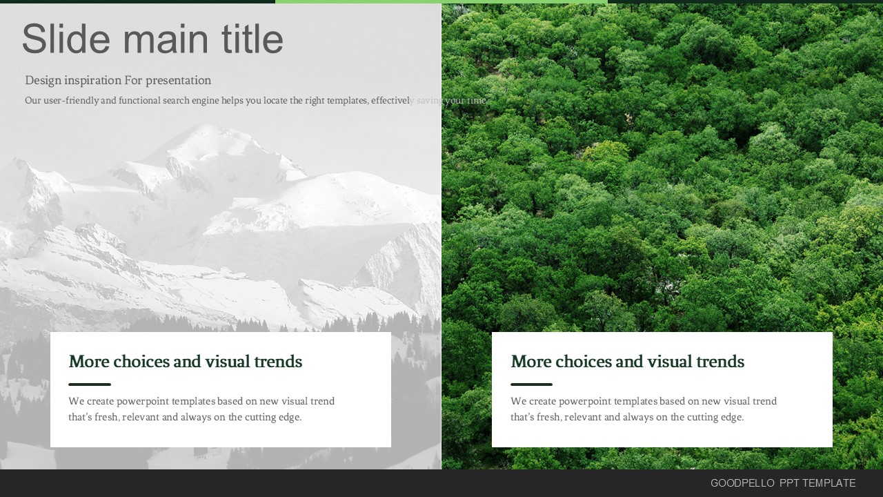 Slide Preview