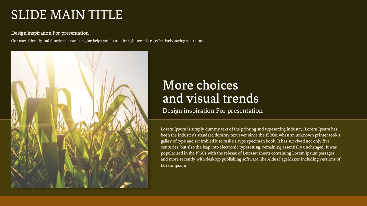 Slide Preview