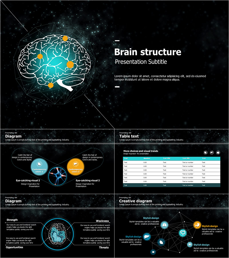 Brain Structure PPT Wide – Scientific and Modern Design