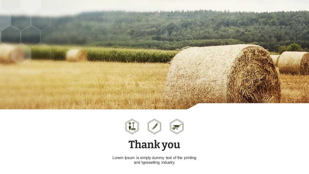 슬라이드 미리보기