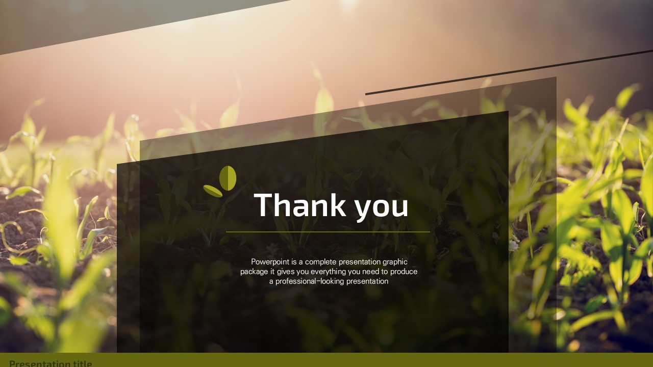 슬라이드 미리보기