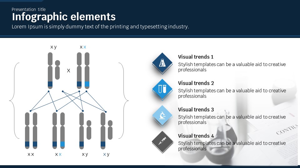 슬라이드 미리보기