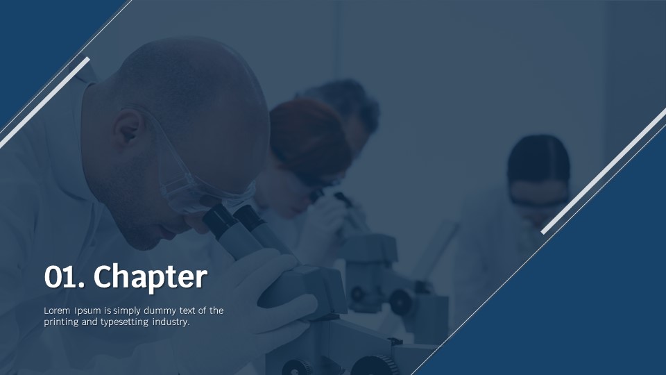 슬라이드 미리보기