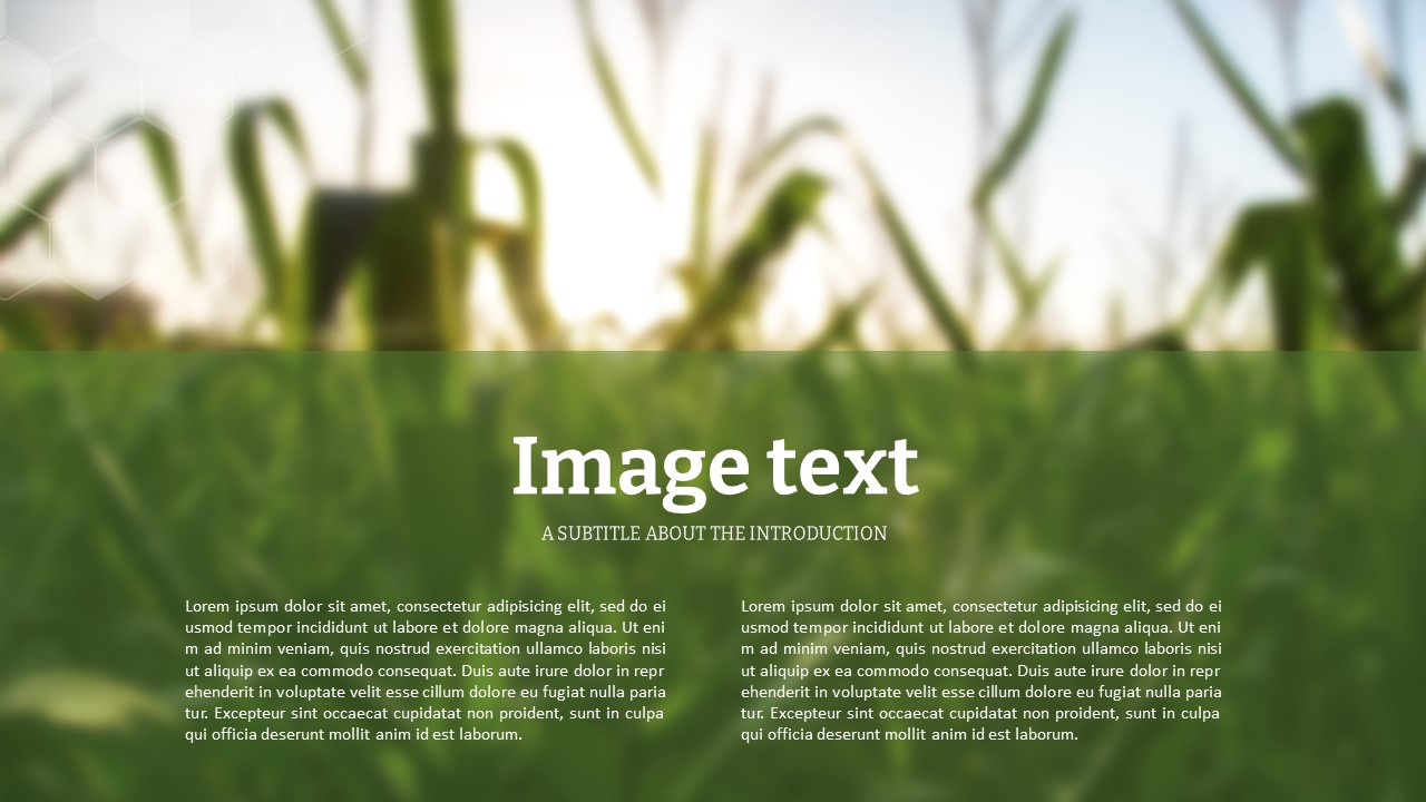 슬라이드 미리보기