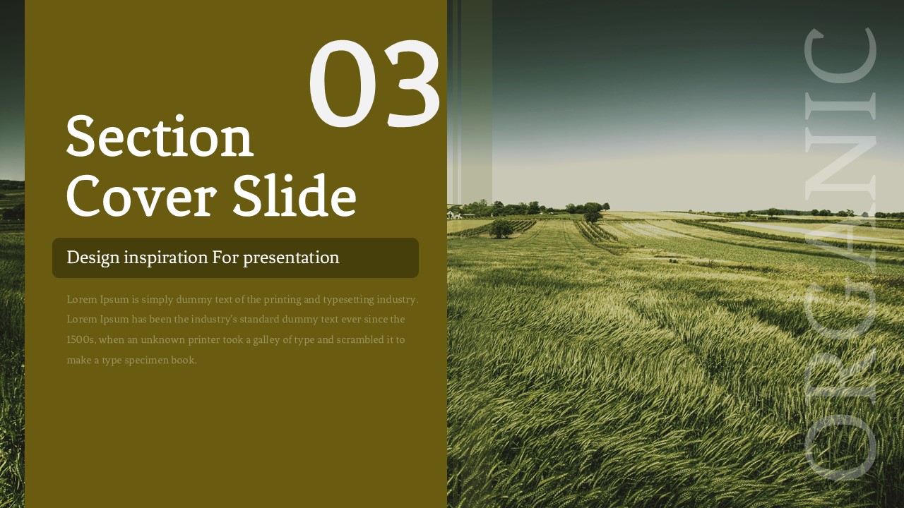 Slide Preview