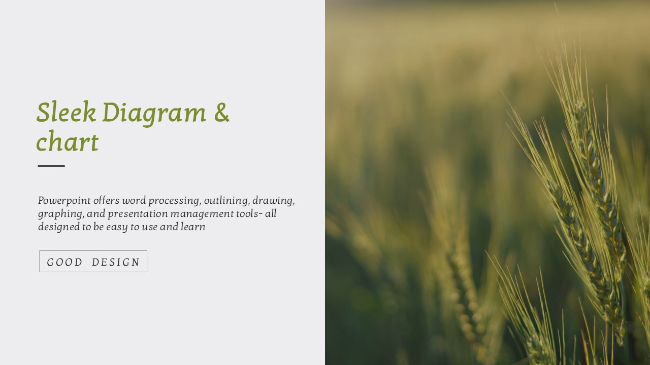 슬라이드 미리보기