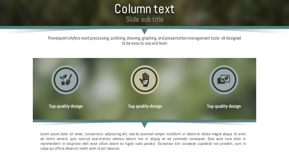 슬라이드 미리보기