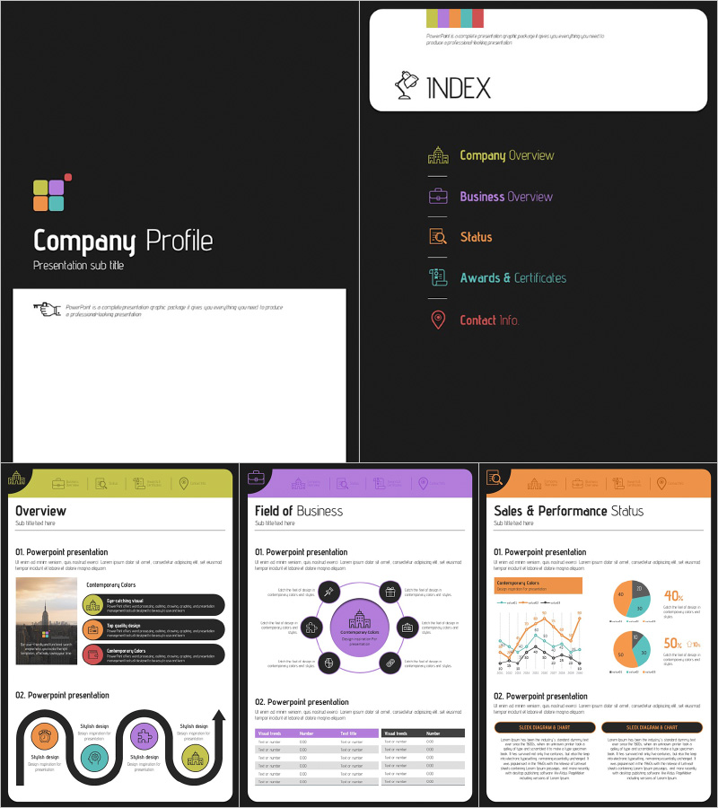 Color Theme Company Profile Vertical PowerPoint Template