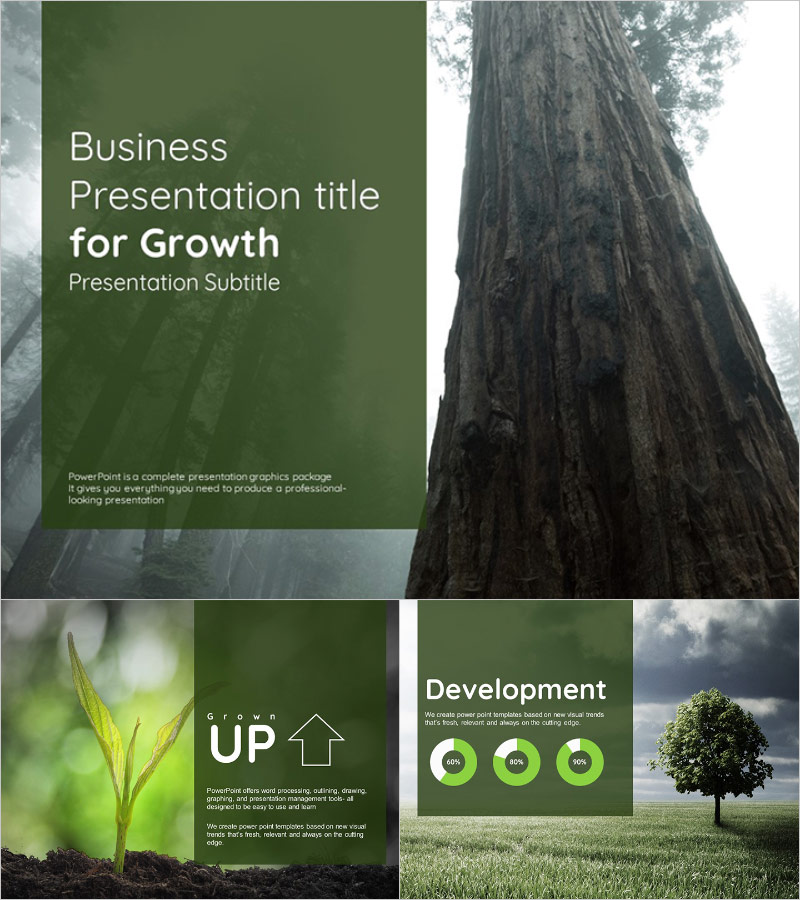 성장 피피티 – 핵심 메시지를 전달하는 감성 디자인