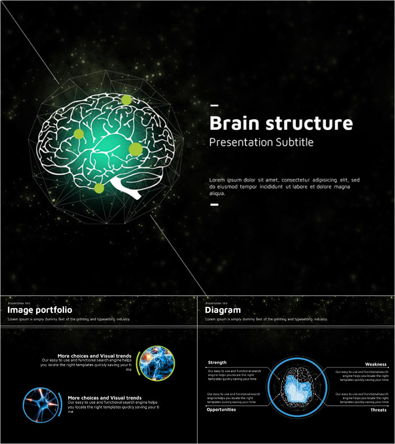 뇌구조 애니메이션 템플릿 – 시선을 사로잡는 고급 디자인