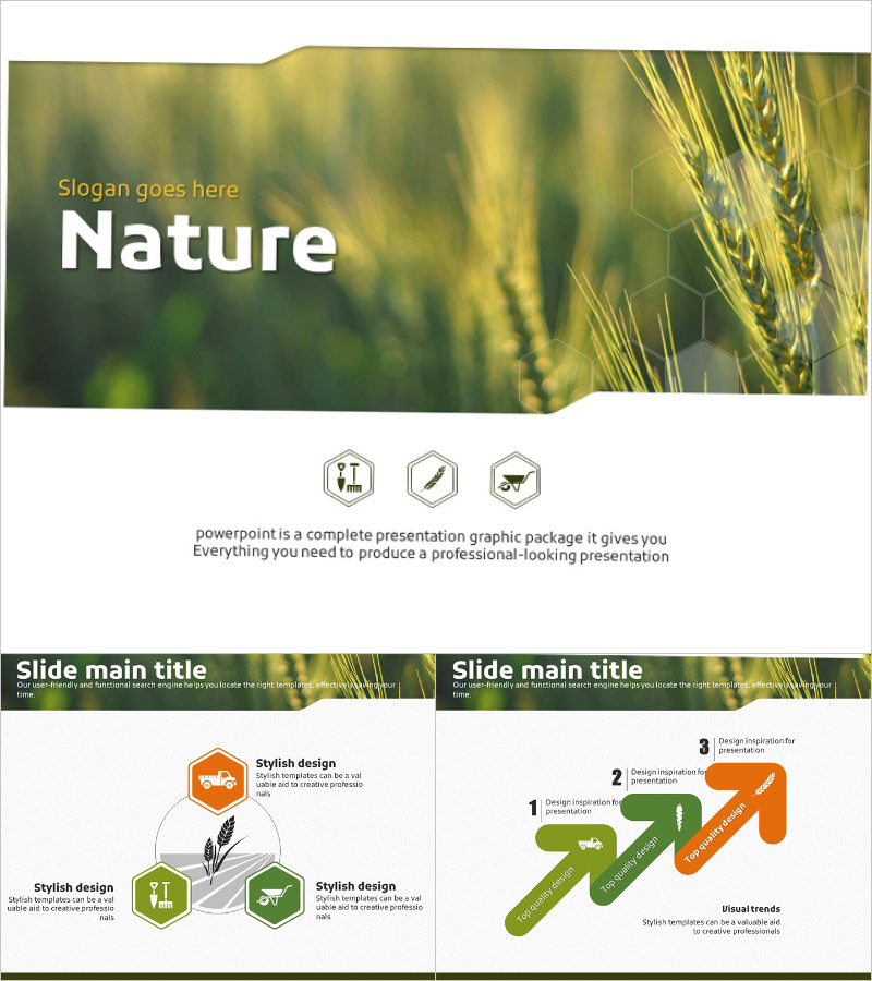 보리 수확 애니메이션 프레젠테이션 – 자연의 아름다움을 전달하는 동적 디자인