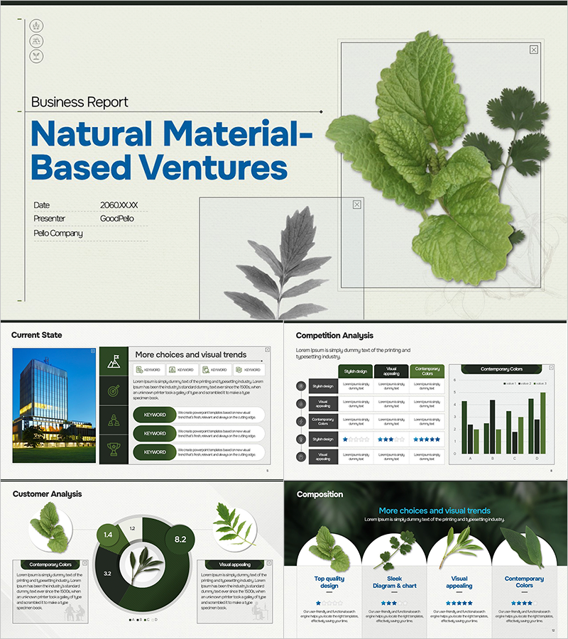 Business Plan PowerPoint Template – Effective Design for Natural Materials Ventures