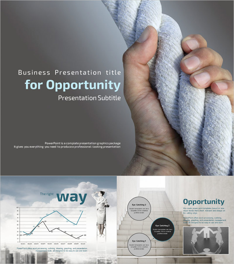 Business Opportunity Presentation – Emotional Design Opening Doors to Success