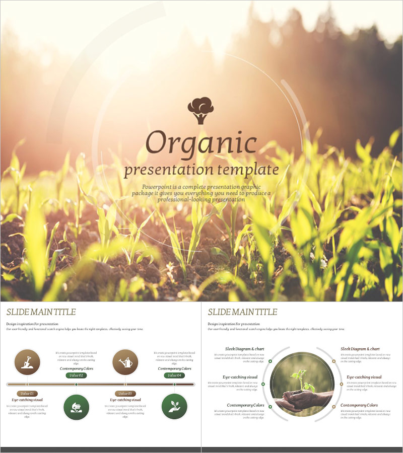 유기농 애니메이션 프레젠테이션 템플릿 – 자연을 담은 시각적 매력