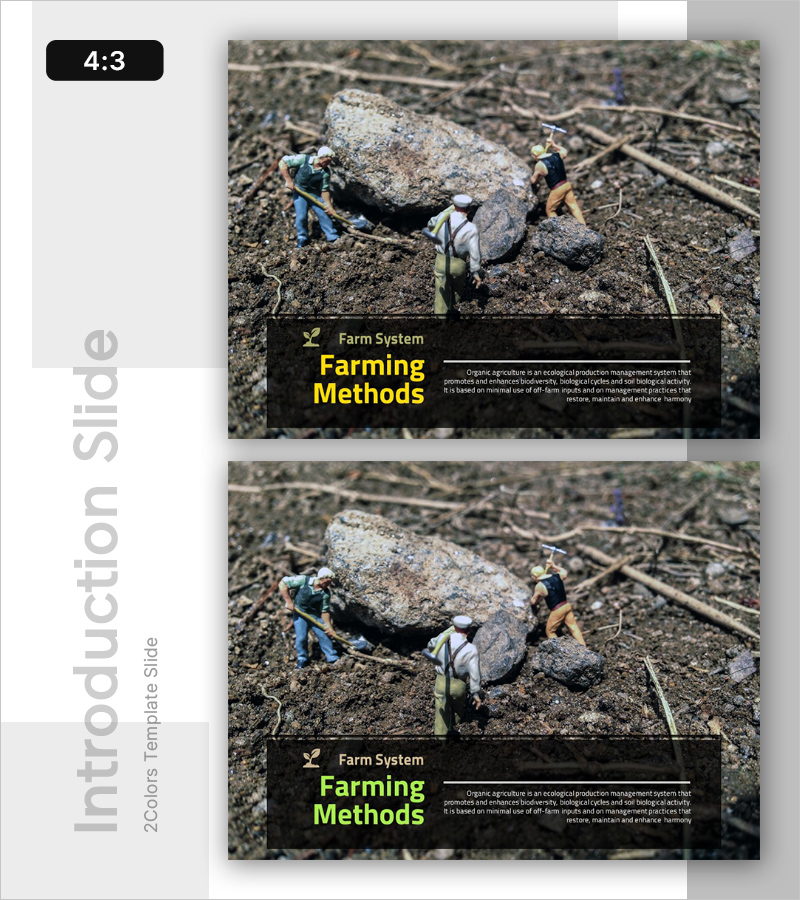 농업경영 템플릿 인트로 – 혁신적인 농업의 시작