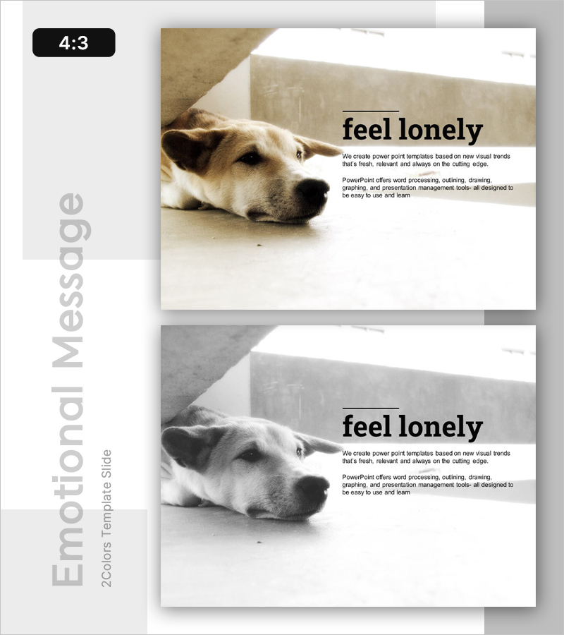 외로움을 느끼는 강아지 슬라이드 – 걱정과 불안