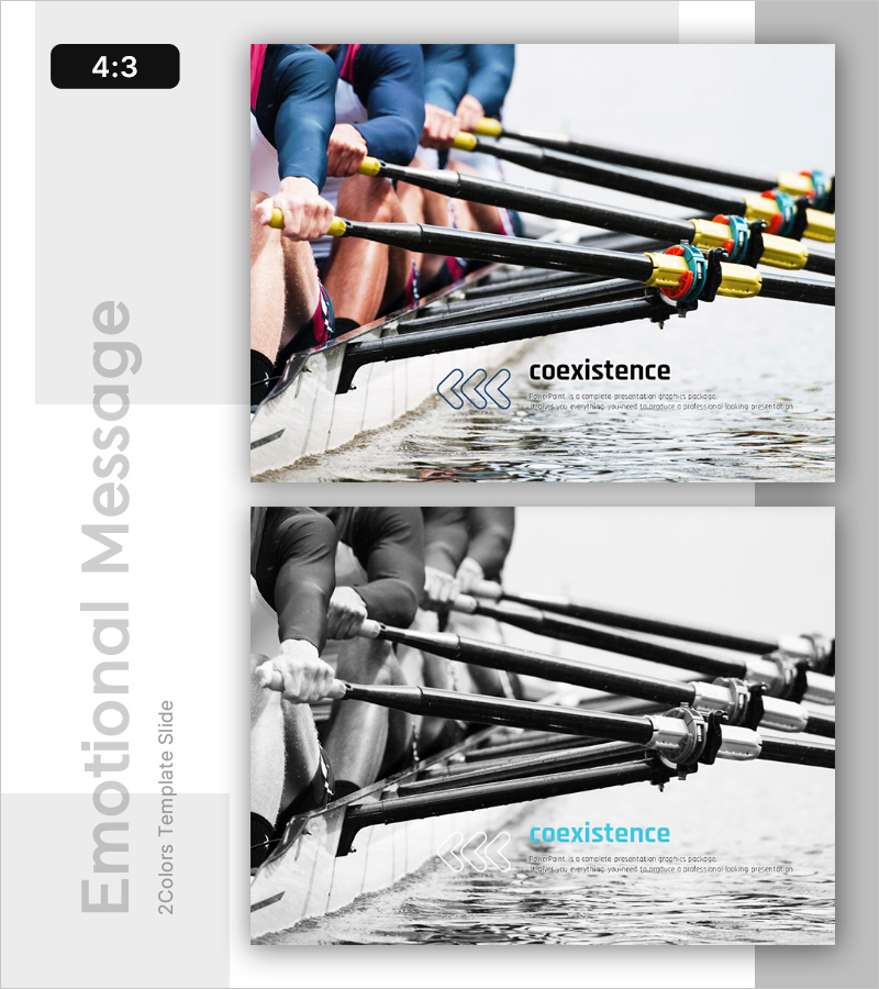 팀워크와 공존의 힘 – 도전과 의지