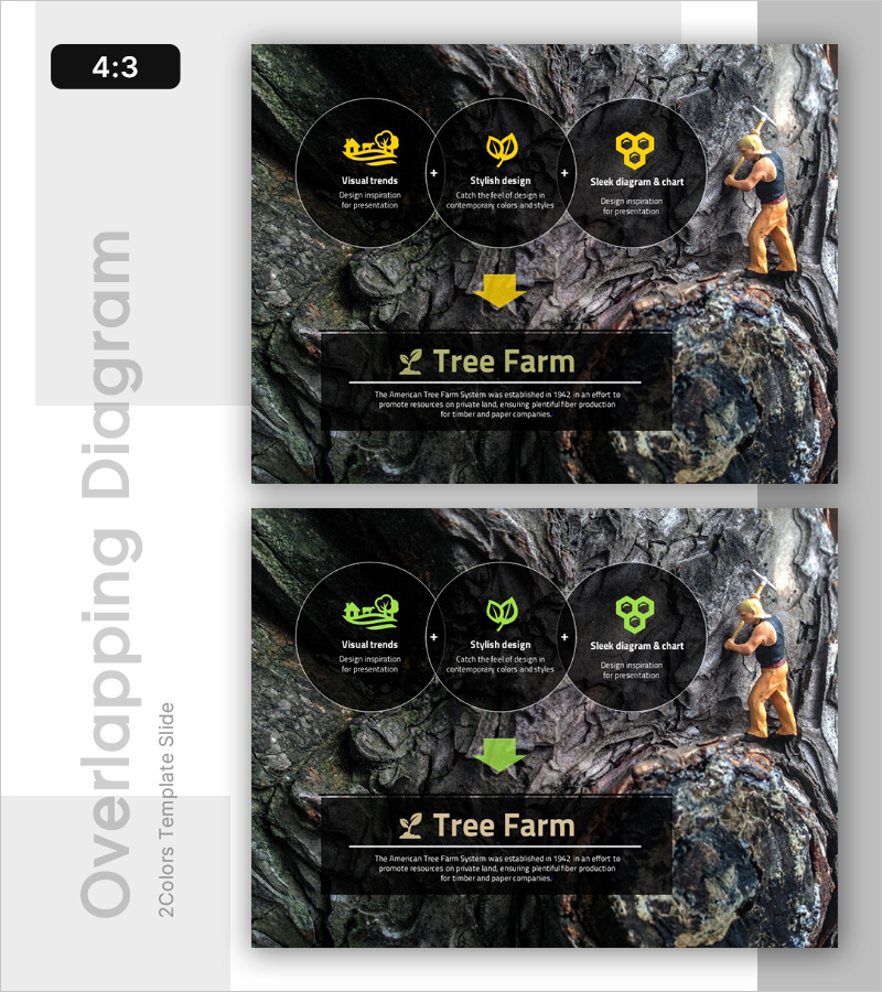 미래를 위한 농업 비전 슬라이드