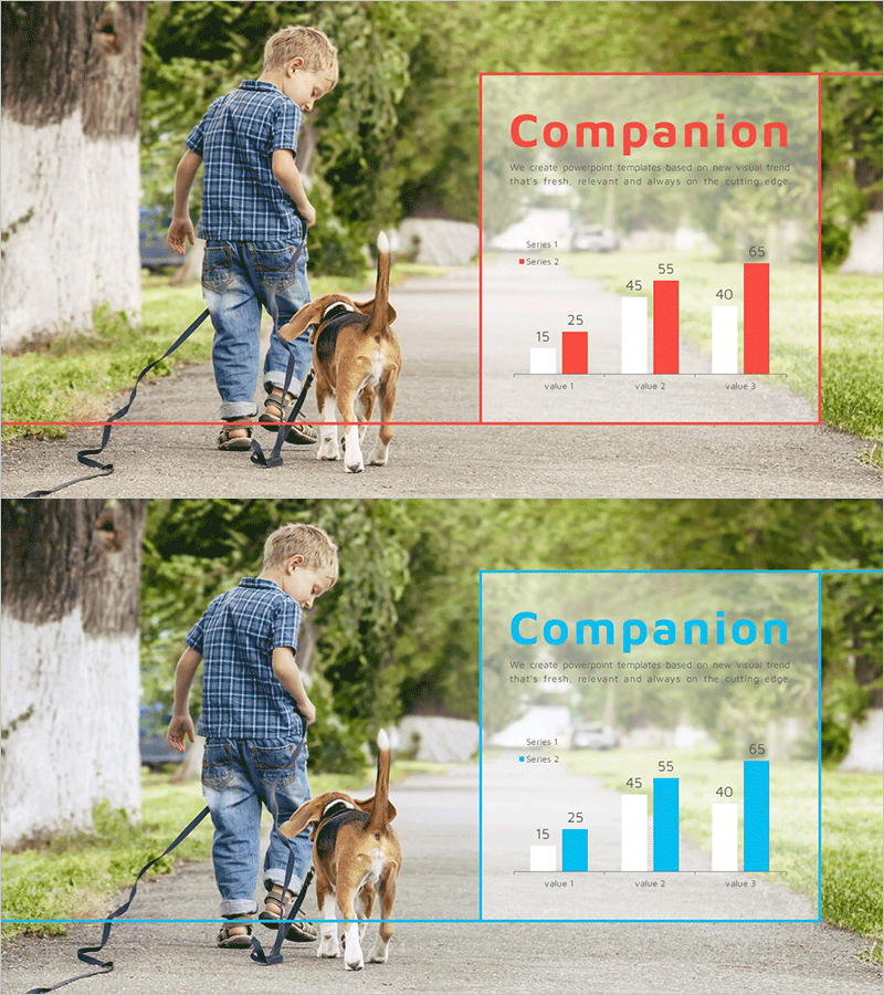 반려동물 양육자 분석 그래프 – 시장 트렌드 분석