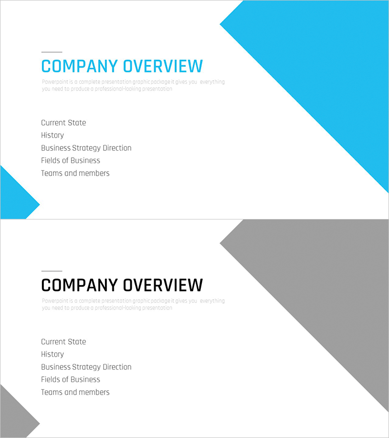 다목적 사업계획서 템플릿 간지 – 전문적 기업 소개