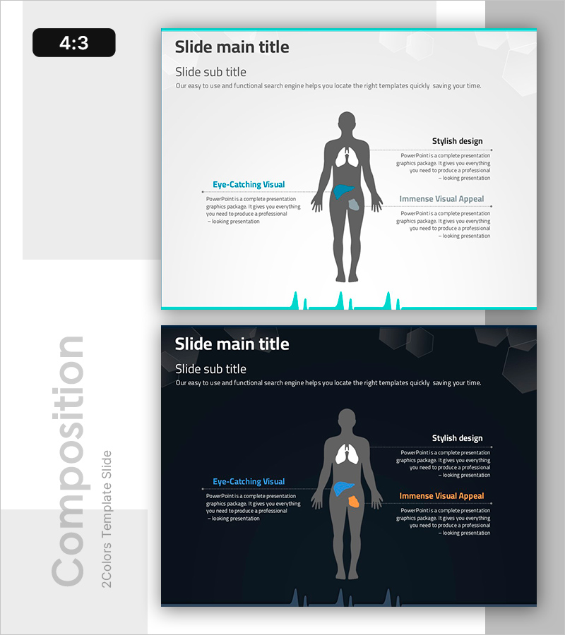 주요 장기 기능 및 위치 설명 – 인포그래픽으로 시각화