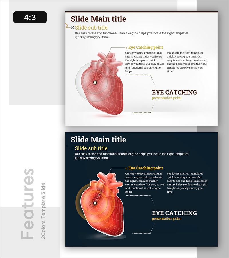 심장 건강 상태 분석 – 건강과 비전